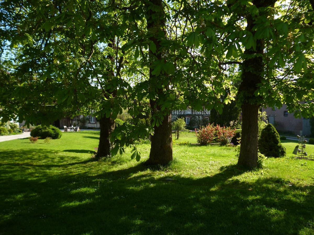 Domaine De La Creuse Moussey (Aube) Exterior foto